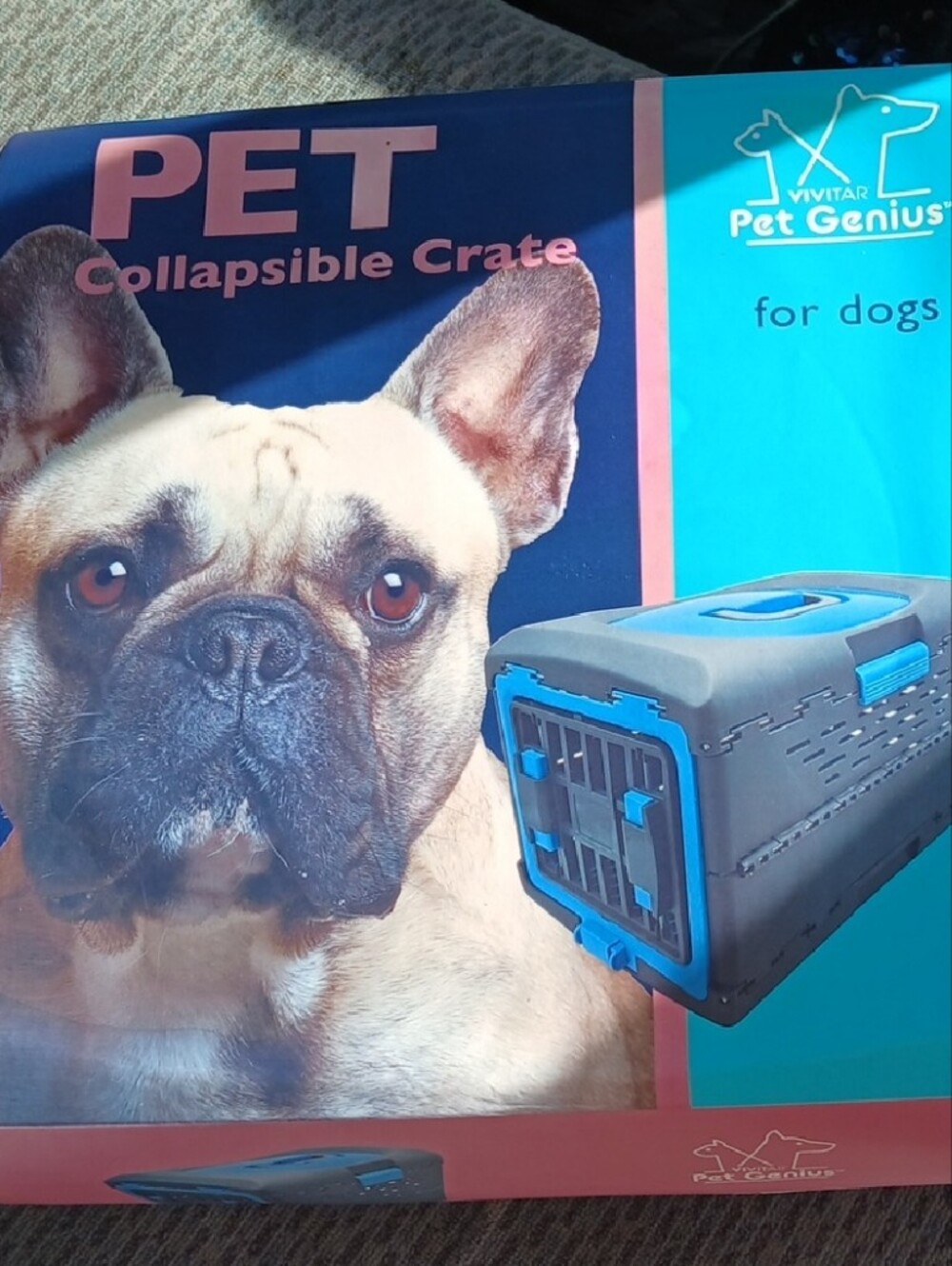 Pet Genius Collapsible Dog Crate Carrier - Blue & Gray